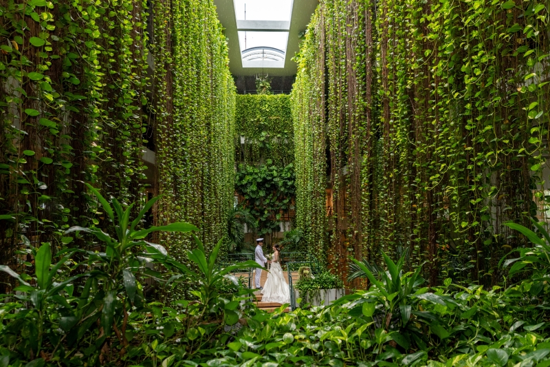 『ムーンビーチアルバムPKG』★アルバム付！ムーンビーチ、ガーデン、館内撮影　安心の衣装追加料金なし！青空＆美肌補正2万円分付！