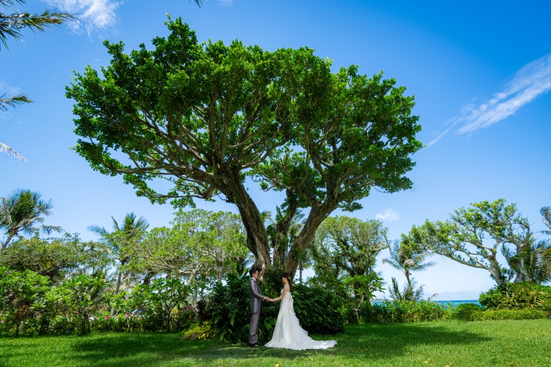 11周年記念★6月撮影まで【ムーンビーチプレミアムフォト】ビーチ、ガーデン、館内撮影◉安心の衣装追加料金なし◉ドローン半額