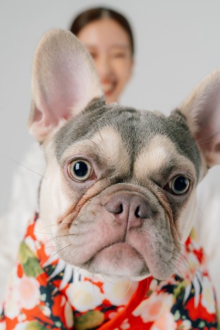 ワンダフルな瞬間を