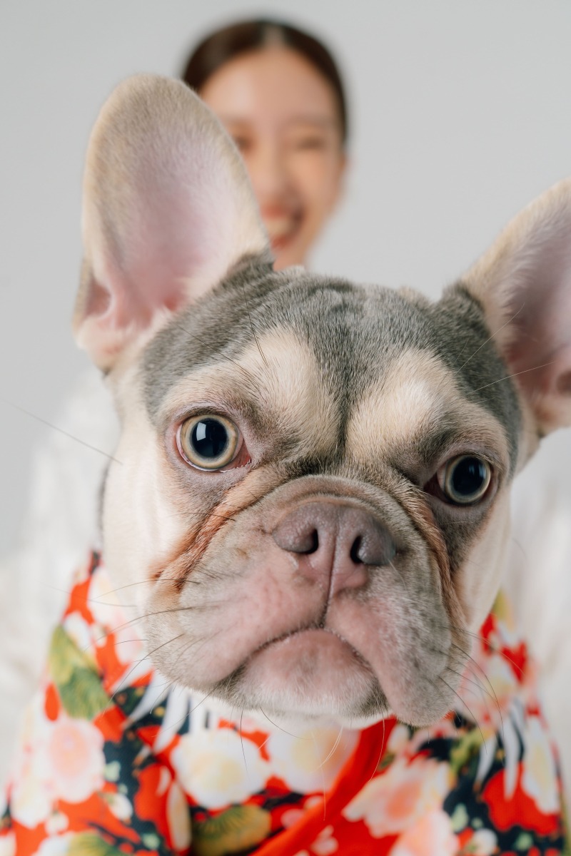 ワンダフルな瞬間を