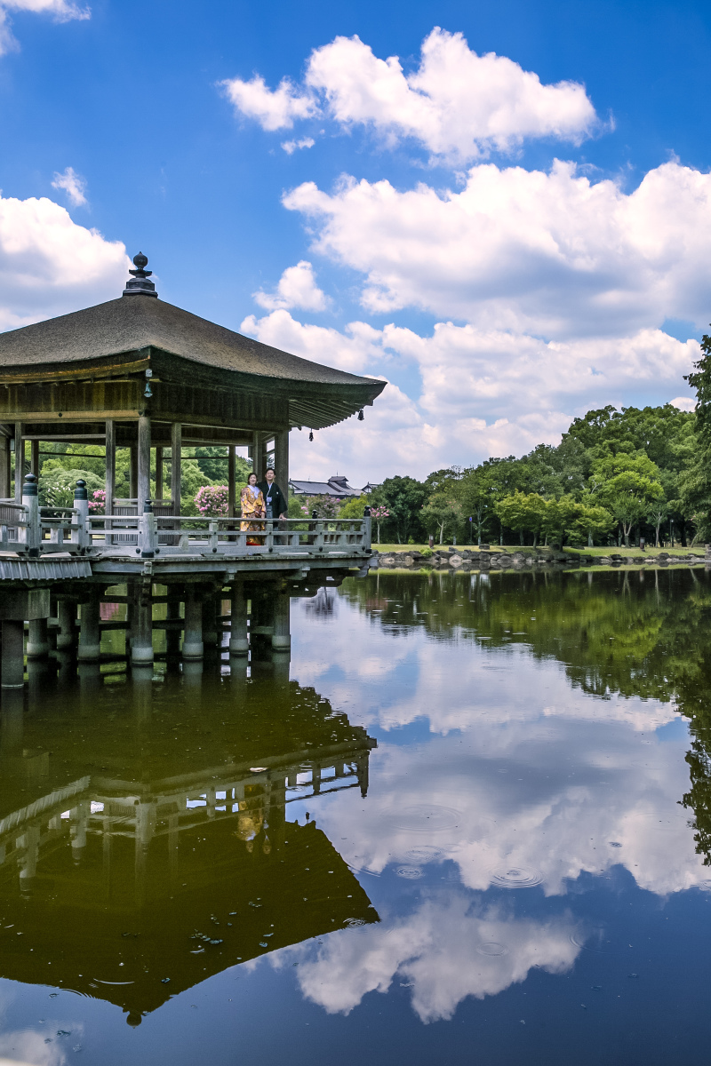 奈良公園ロケーション