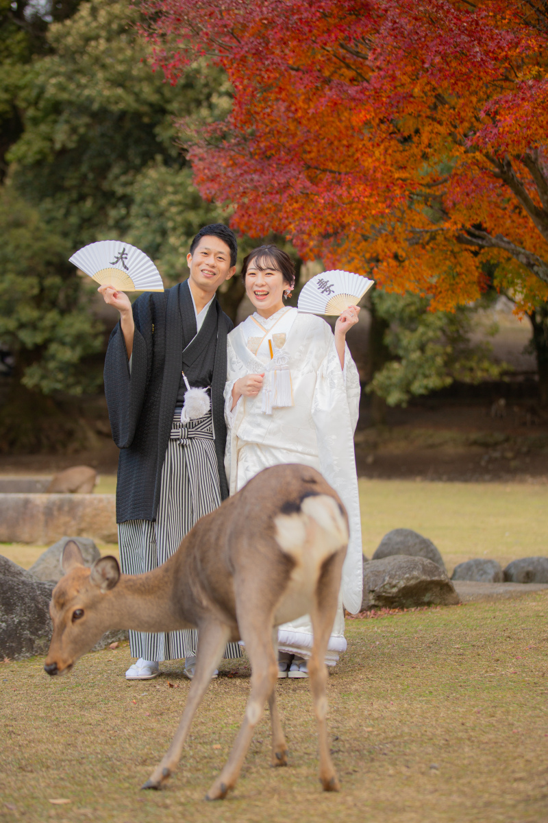 鹿さんも祝福！秋の庭園にて