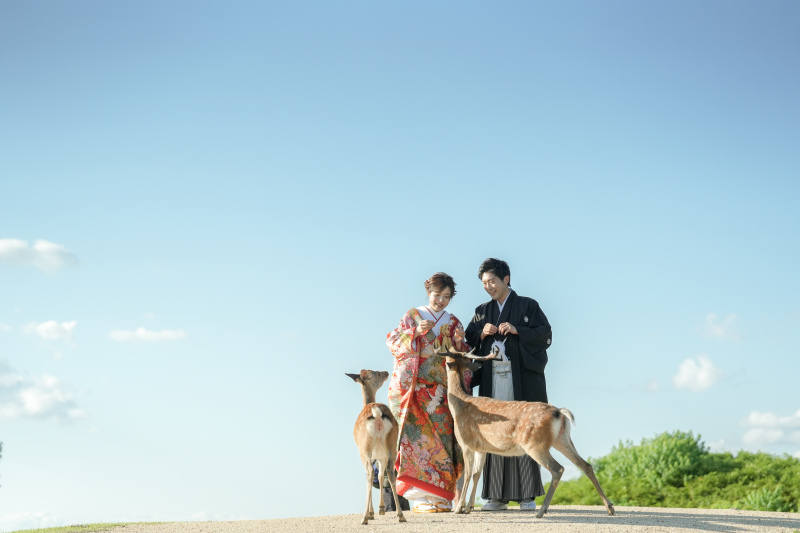 鹿と一緒に