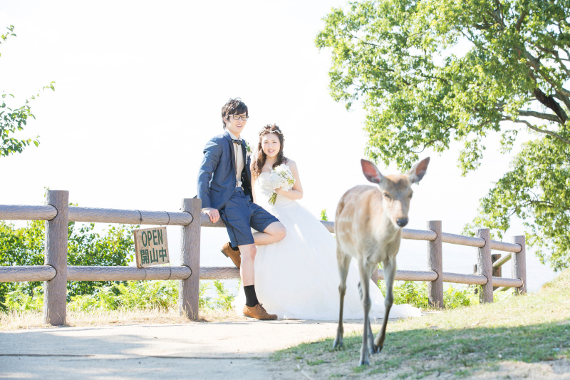 可愛い鹿とスリーショト