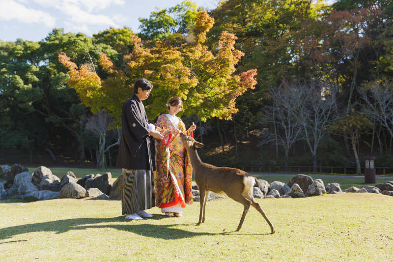 奈良店イチオシ!奈良公園ロケーション