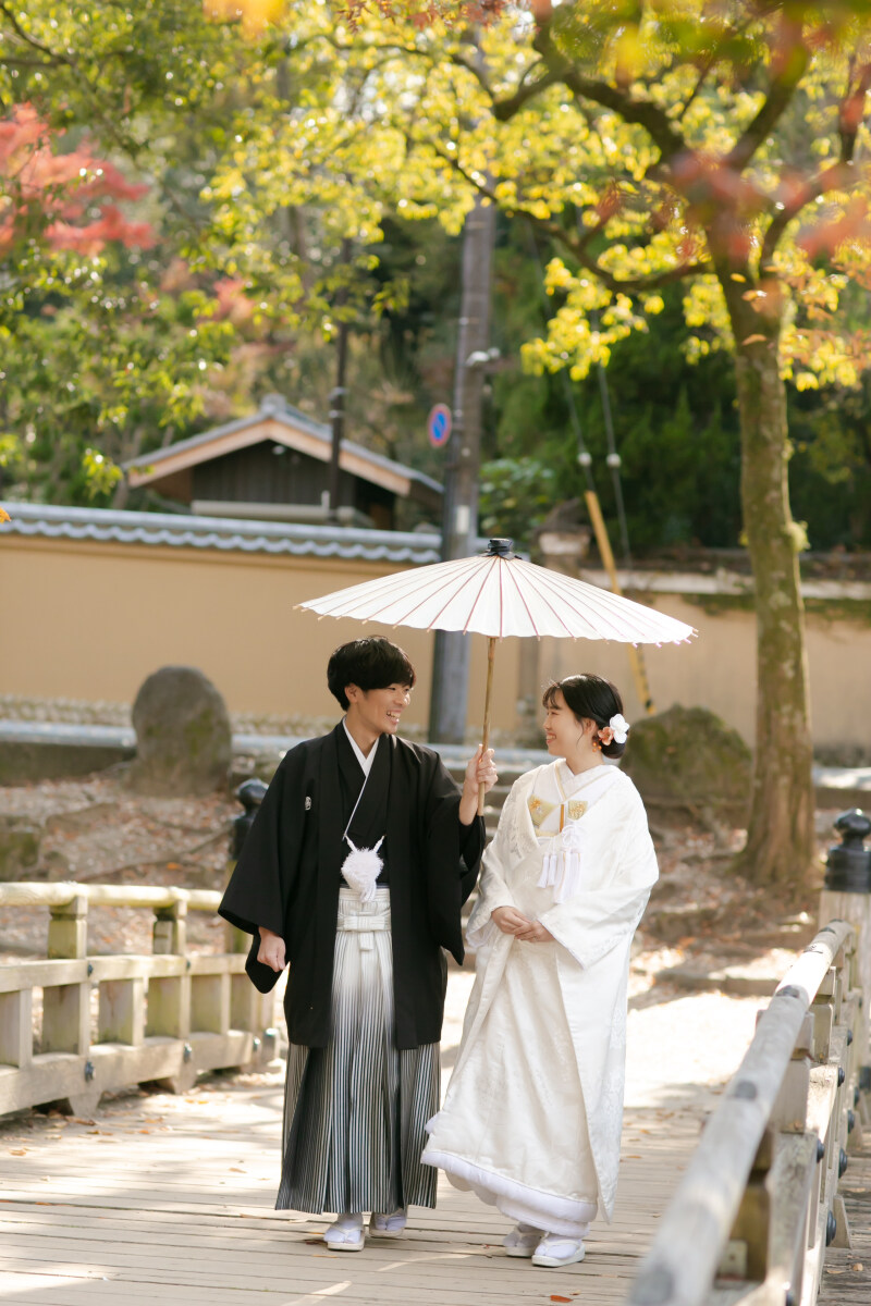 鹿も紅葉も！盛りだくさん撮影