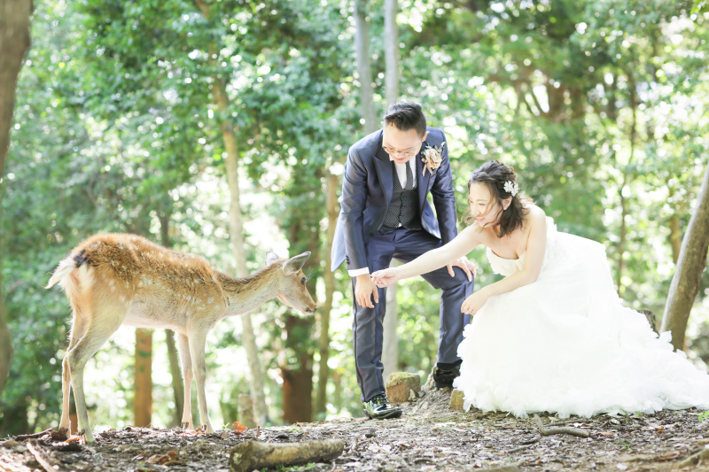 みどりキラキラ