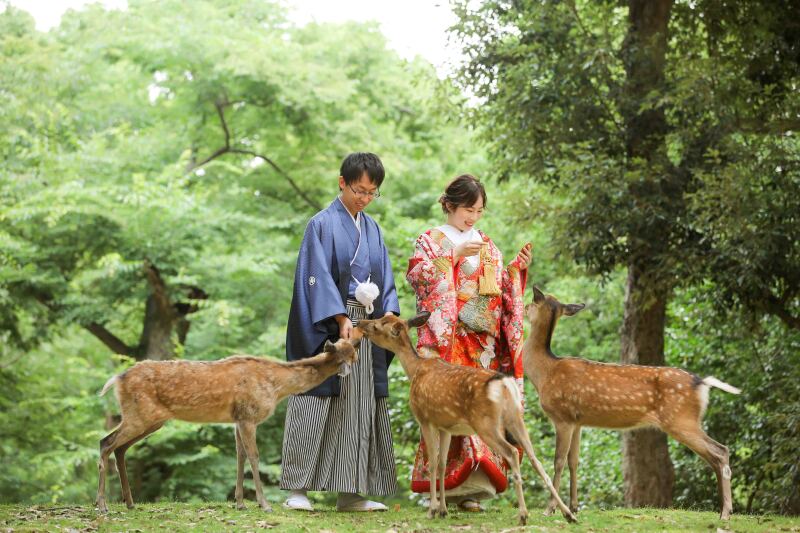 かわいい鹿ちゃんと。