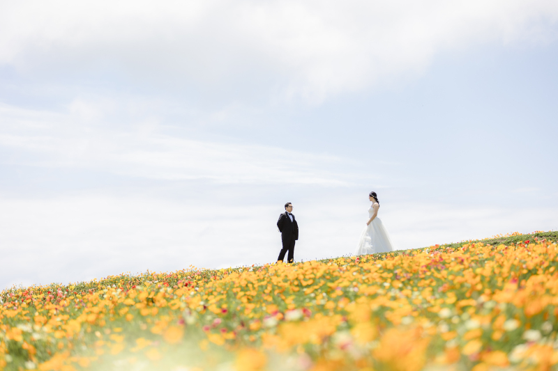 そこから一気に色づいて