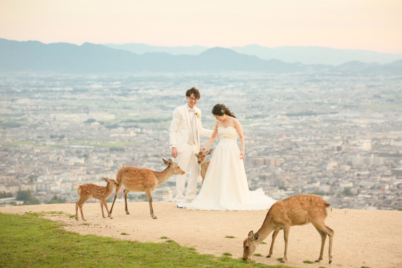 シカちゃんのひょっこりはん♪ 笑