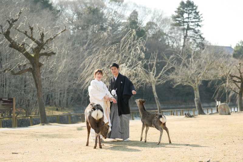 鹿ちゃんとの共演♪