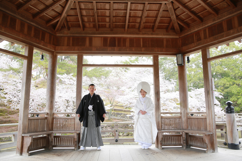 大人気!浮見堂ロケーション!