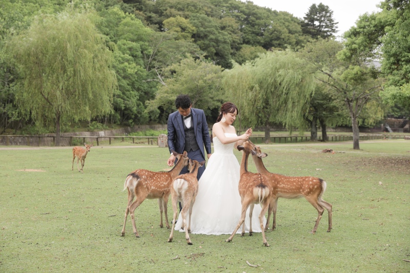 奈良公園へ