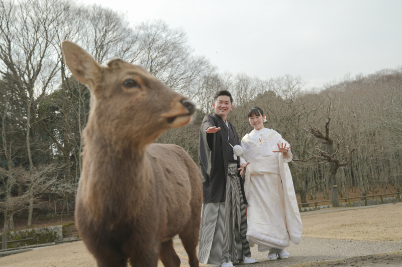 奈良でしか撮れないウェディングフォトを