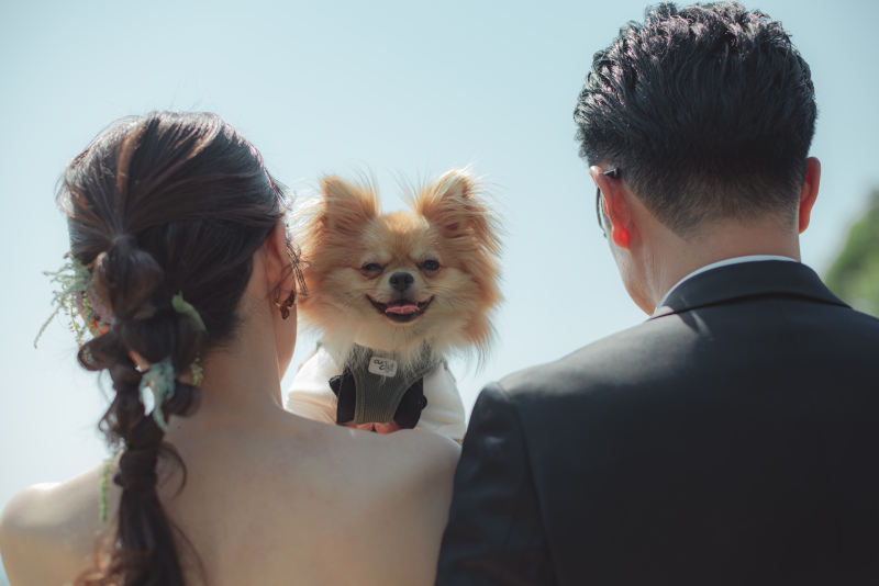 わんちゃんと一緒に