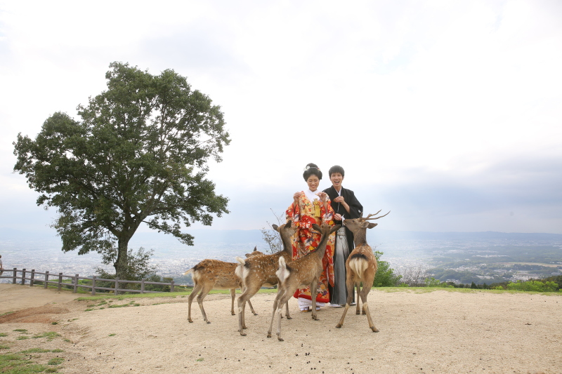 鹿が集まってきてパニック！！