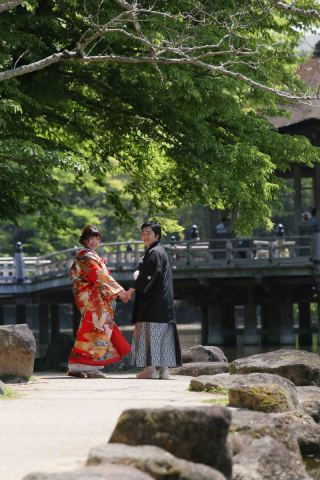 新緑ロケーション