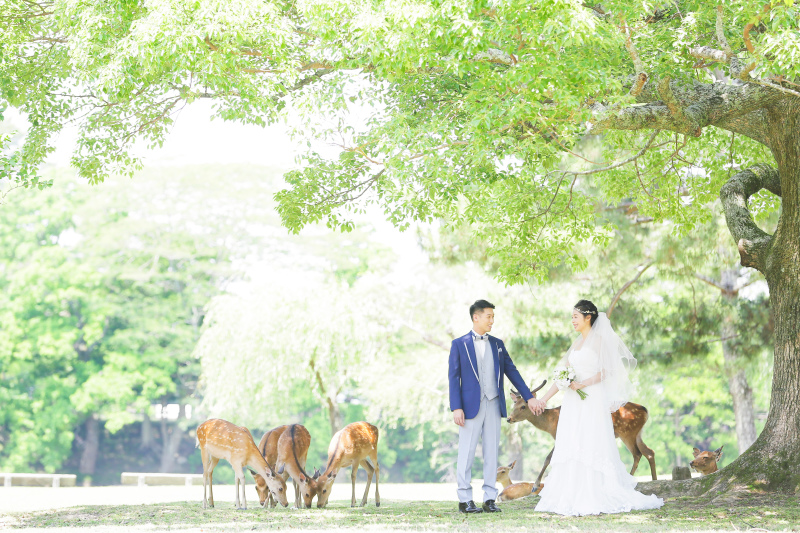 おとぎの国へようこそ