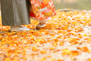 紅葉ロケーション