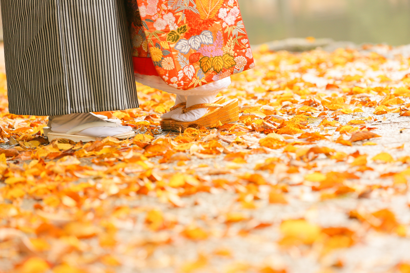 紅葉ロケーション