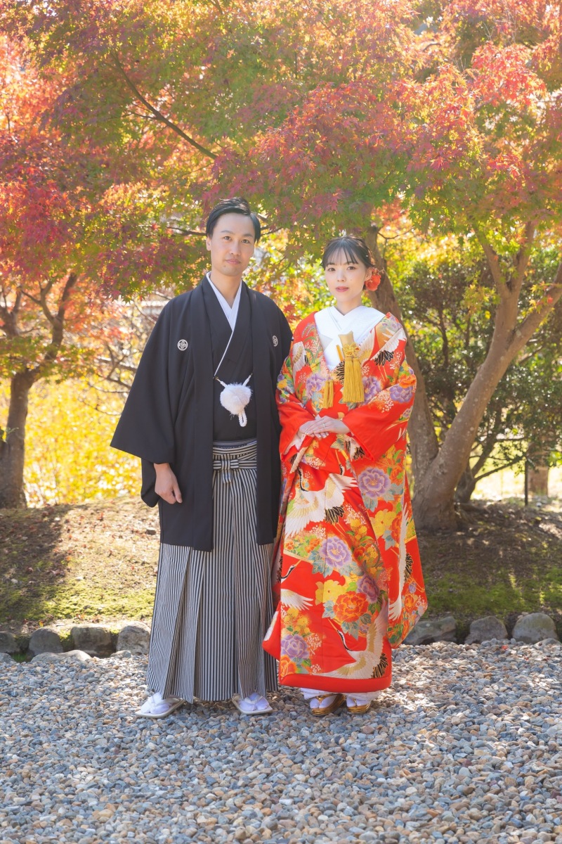 もみじのグラデーション