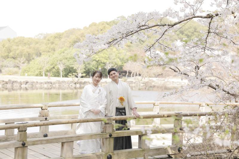 桜もほぼ満開です♪