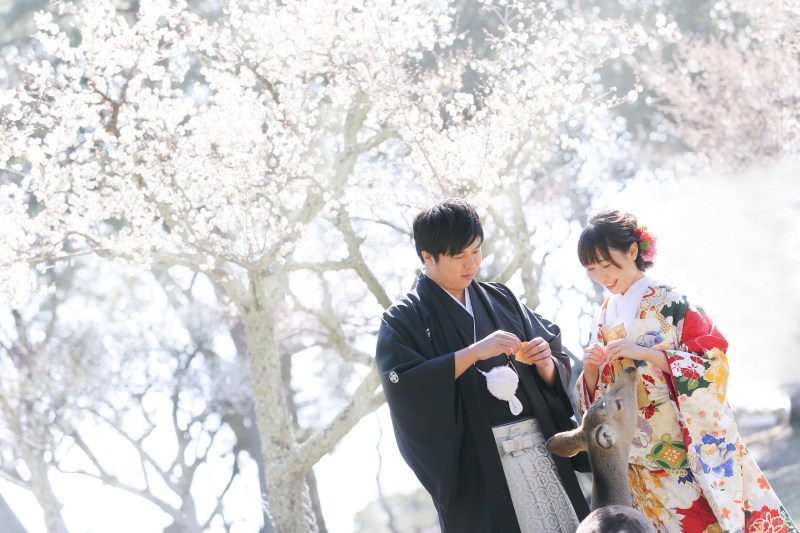 柔らかい陽ざしの中で