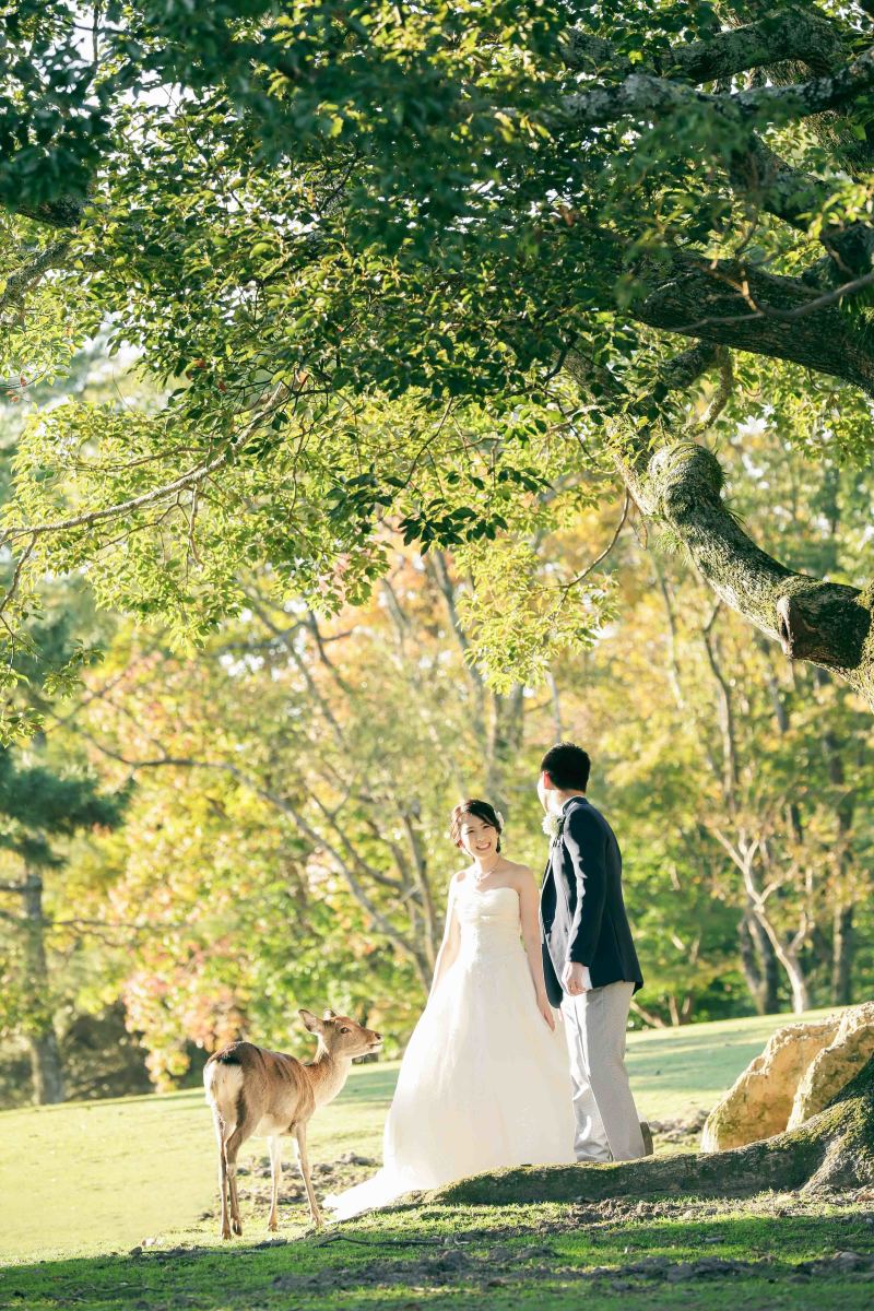 柔らかい日差しの中で