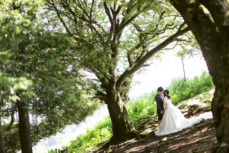 洋装にチェンジして若草山へ