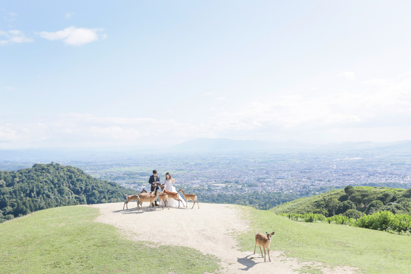 奈良の街並みを一望