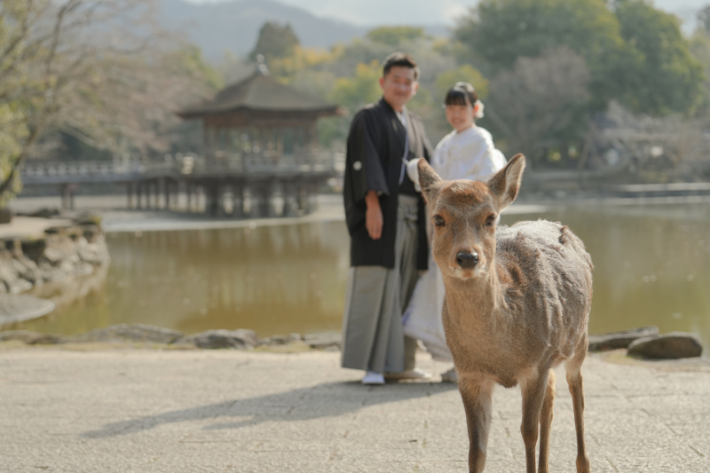 撮影をしていたら...