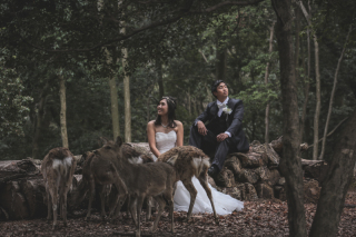 若草山洋装ロケーション