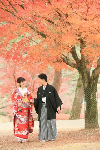 奈良公園と紅葉