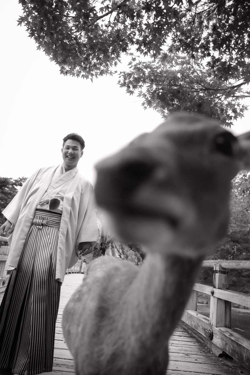 ドアップ！！！