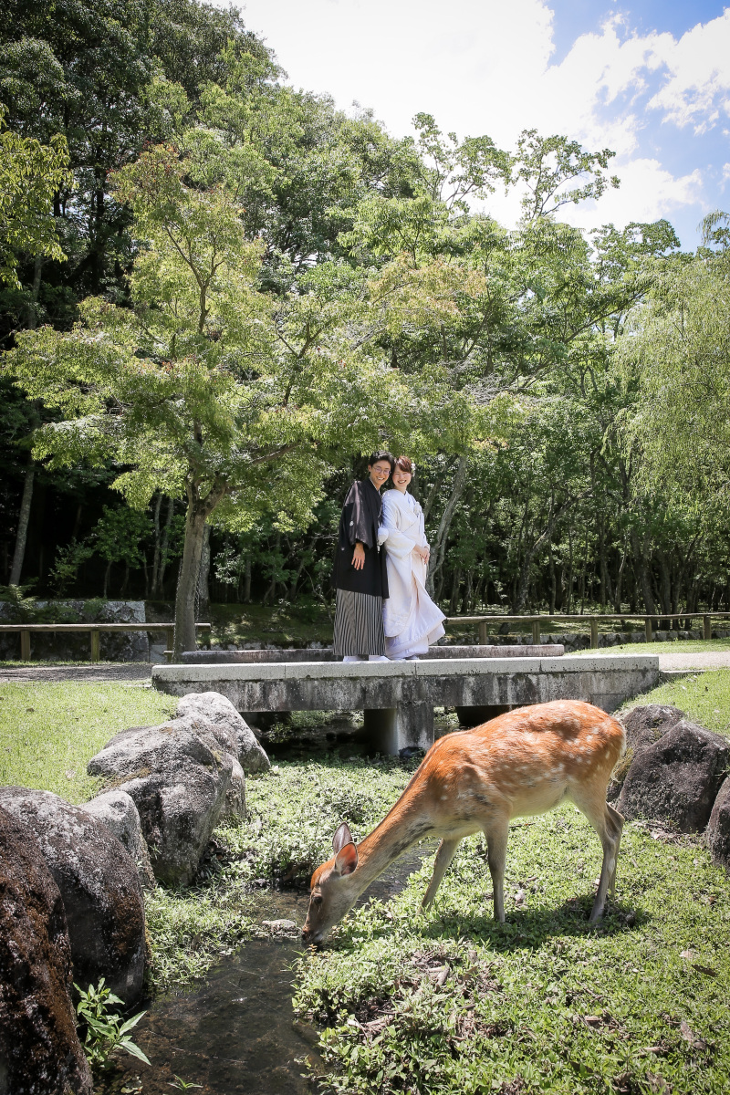 奈良公園に到着