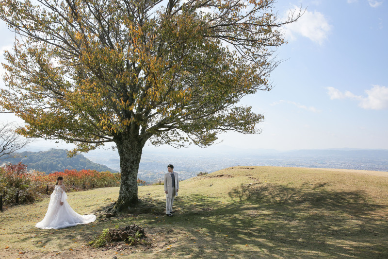 奈良の街並みを背景に