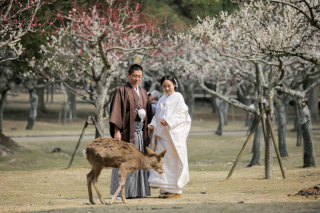 奈良公園の片岡梅林で♪