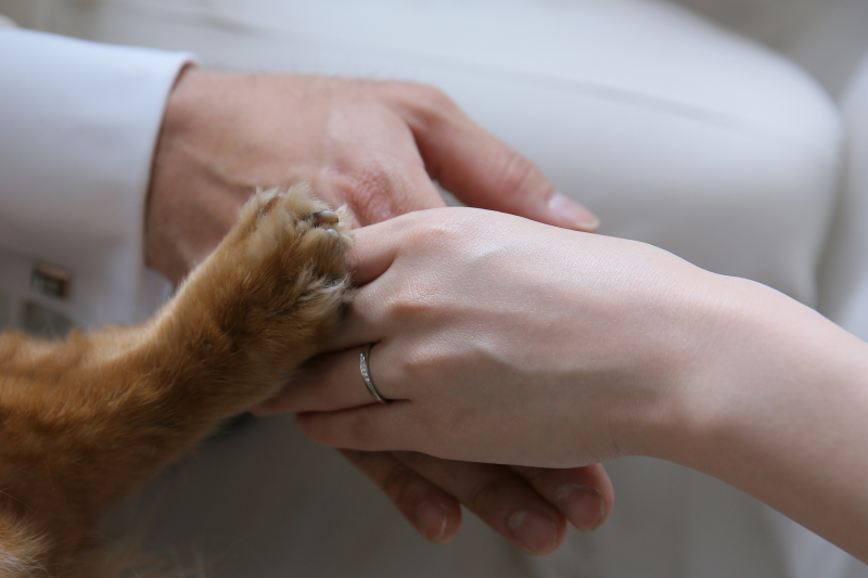 かさなる 手と手と手