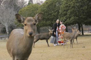 和装ロケーション　洋装ハウススタジオ