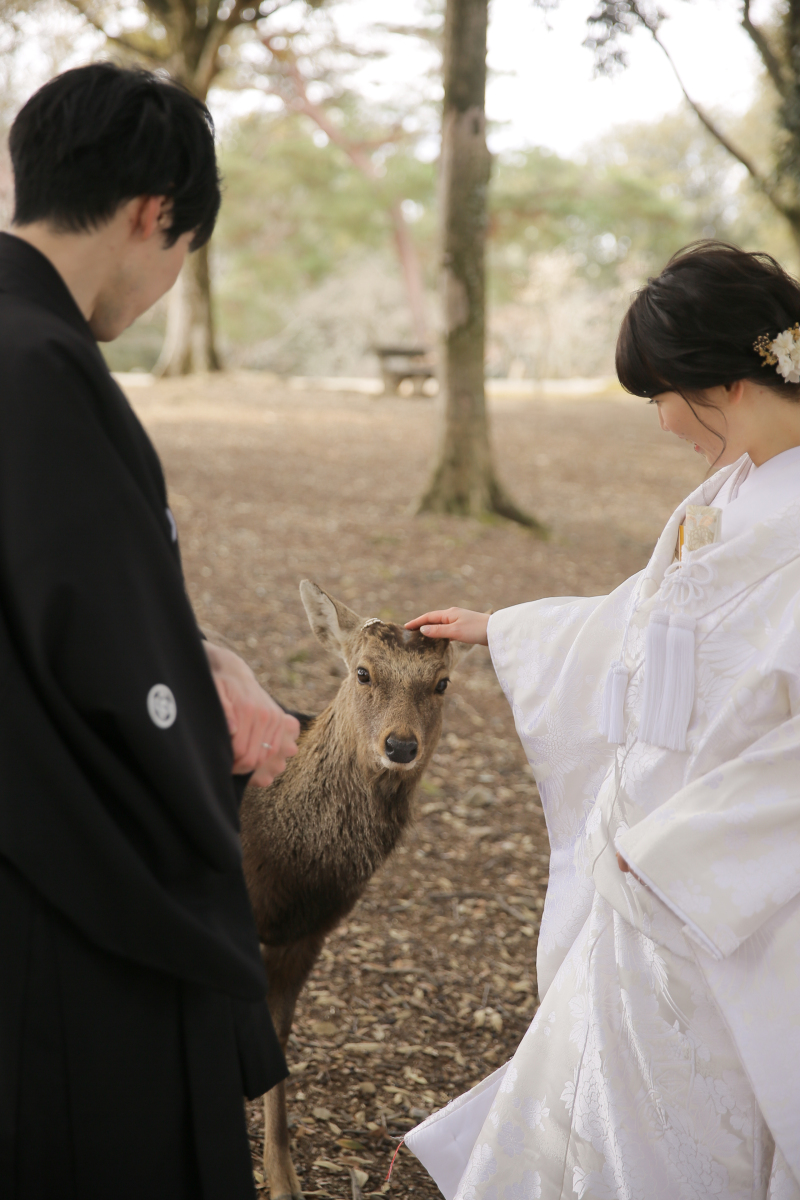 癒されながら…