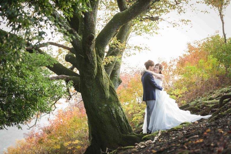 木の下で寄り添う