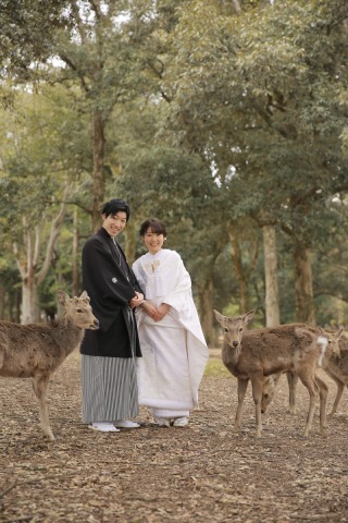 鹿に囲まれる！和装ロケーション