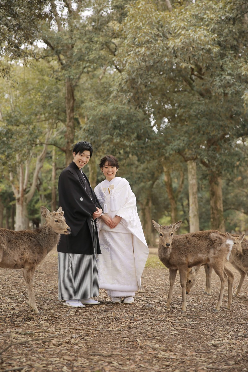 鹿に囲まれる！和装ロケーション