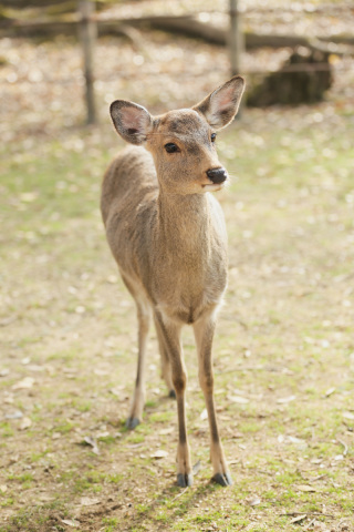 和装2着プラン♪