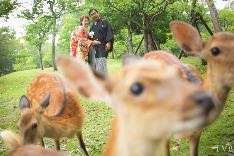 奈良公園ロケーション