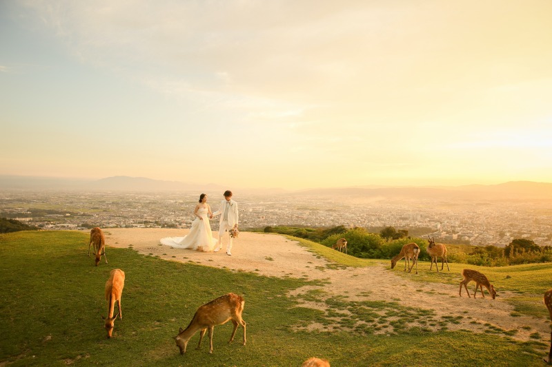 ゴールデンタイムショット♡