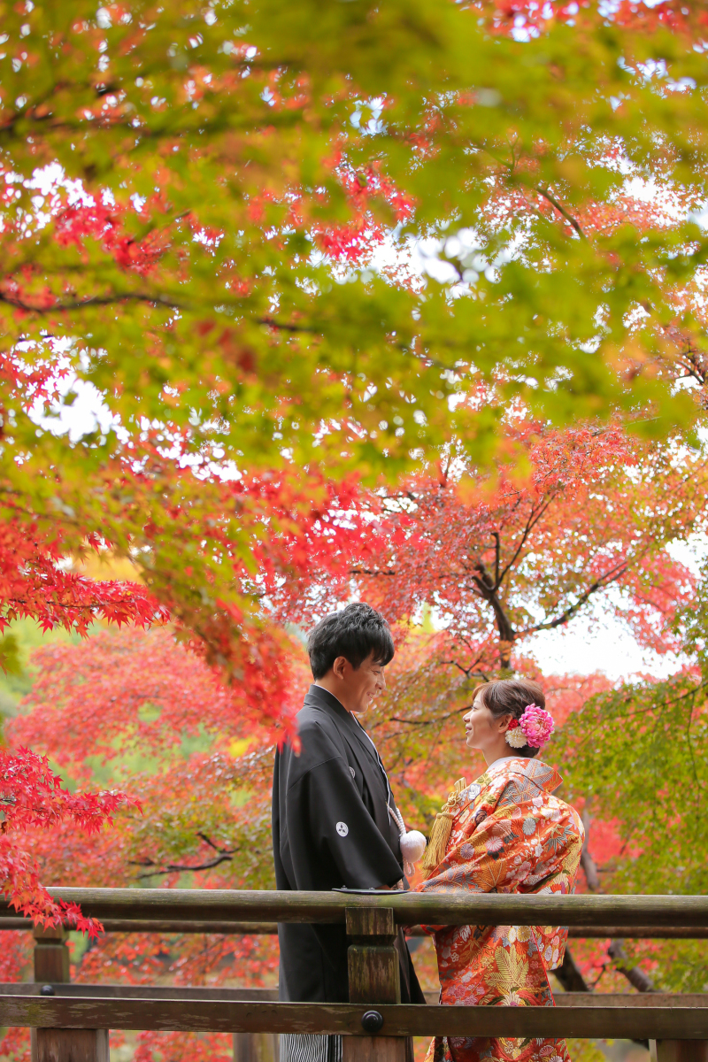 自然のグラデーション