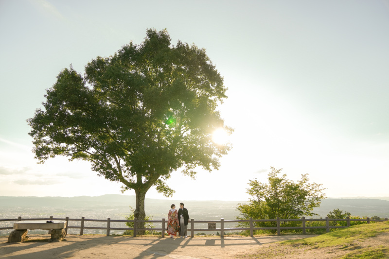綺麗な日差しと