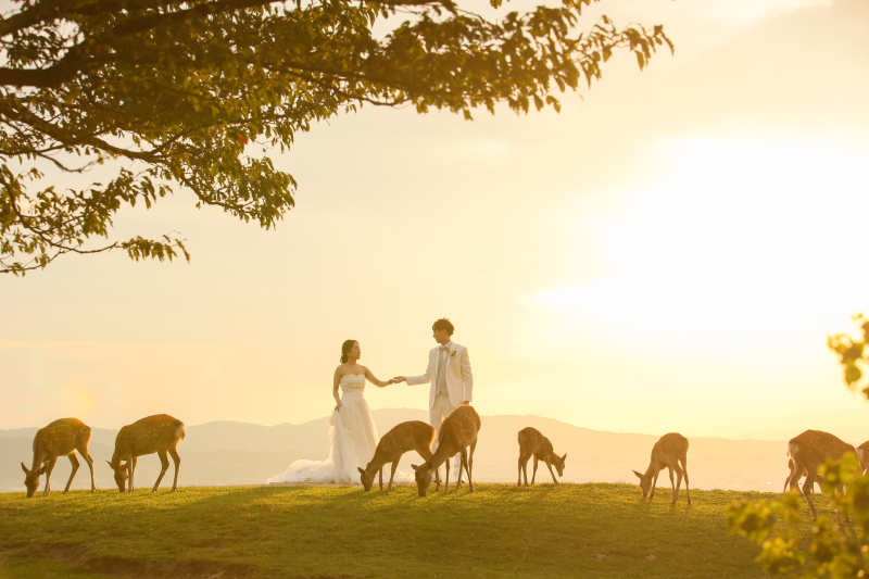 なんとも幻想的な風景★