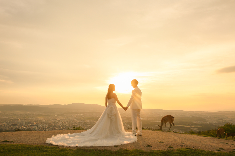 美しさにうっとり